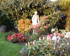 Gartenbild 2